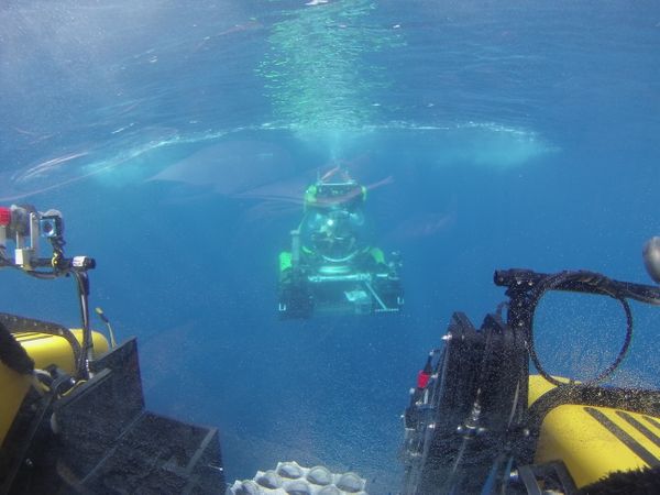 Expedition to Hannibal Seamount, Panama, 2015