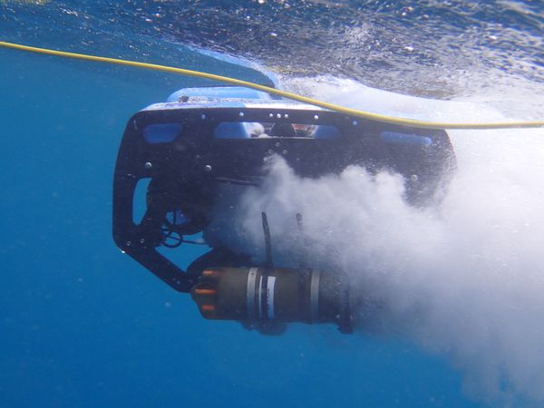 Field Trip: Using robots for characterizing coral reef soundscapes in US Virgin Islands