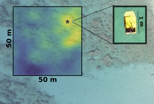 Information-Guided Robotic Maximum Seek-and-Sample in Partially Observable Continuous Environments