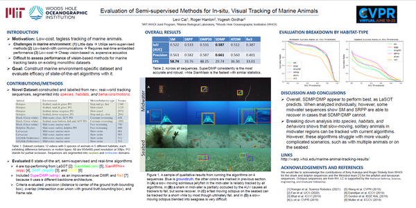 Marine Animal Tracking Results